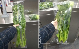 Máy đóng gói bao bì cho thực phẩm có gì đặc biệt?